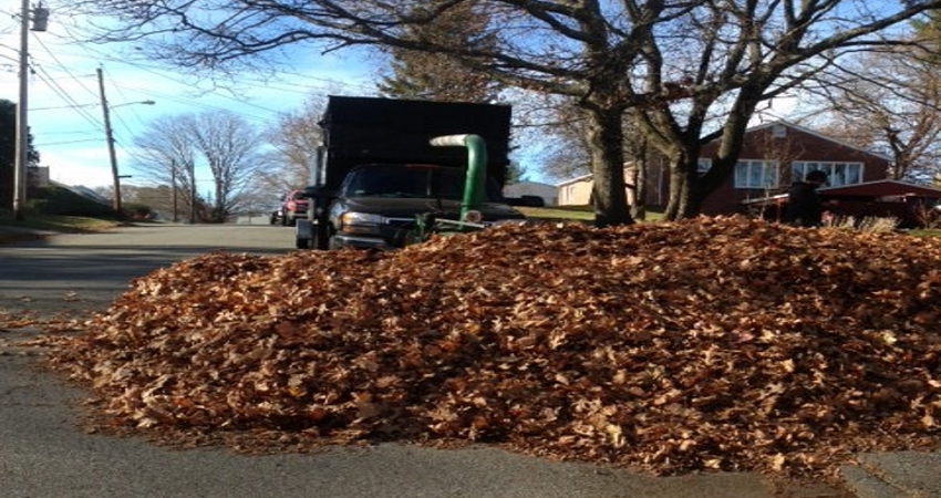 fall cleanup near me