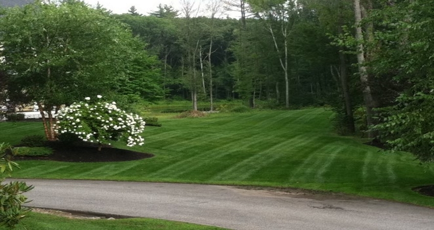 lawn and garden care